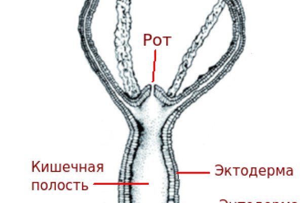 Кракен ссылка маркет