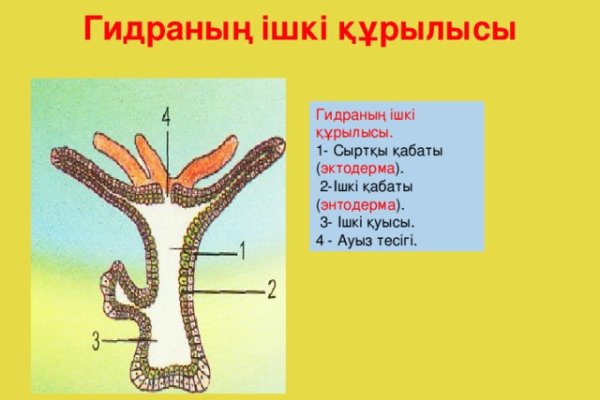 Kraken пользователь не найден при входе